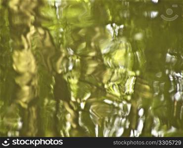 abstract reflection of a forest on water