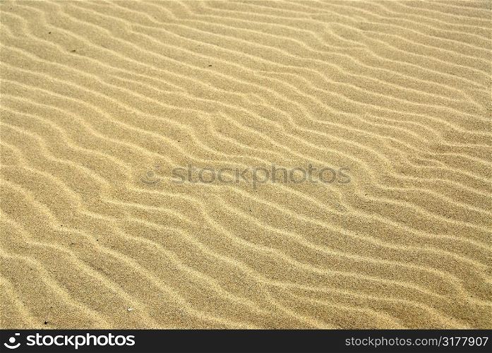 Abstract sand background