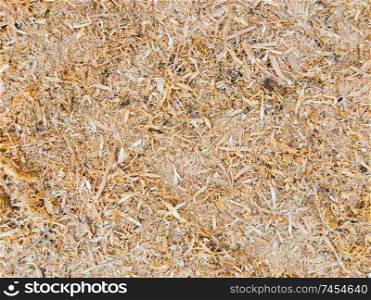 .Abstract sawdust or wood dust texture background. Close up top view of dry wood shavings, industry concept.