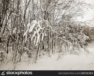 abstract scenes at ski resort during snow storm