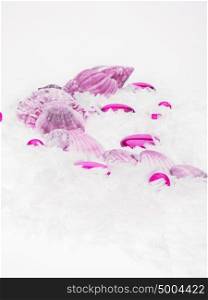 abstract sea background with pink glass pebbles and shell on white background