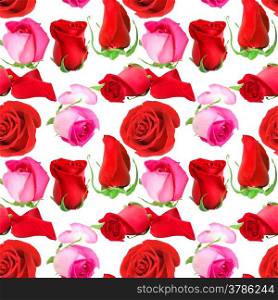 Abstract seamless pattern with pink flowers and buds of roses. Isolated on white background. Close-up. Studio photography.