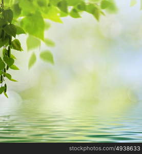 Abstract seasonal backgrounds with beech trees and beauty summer texture