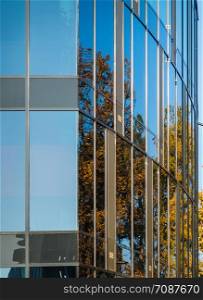 Abstract section of a modern building with a glass facade in which a tree is reflected