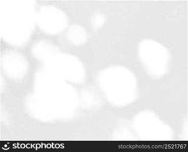 Abstract shadow of leaves on a white wall, overlay effect for photo, mock up, product, wall art, design presentation