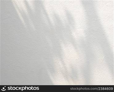 Abstract shadow of leaves on concrete wall, overlay effect for photo, mock up, product, wall art, design presentation
