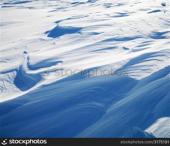 Abstract shot of winter elements in the Midwestern, USA.