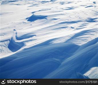 Abstract shot of winter elements in the Midwestern, USA.