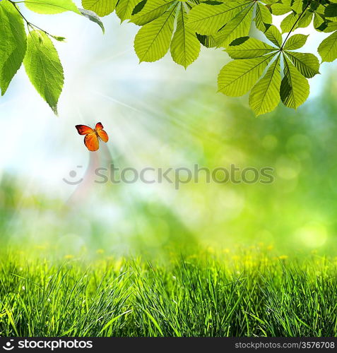 Abstract spring and summer backgrounds