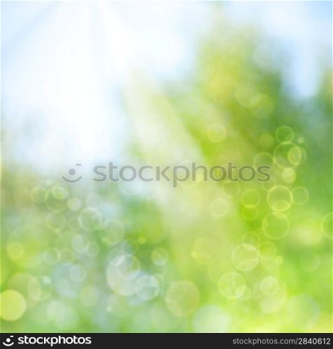 abstract spring and summer backgrounds with beautiful bokeh