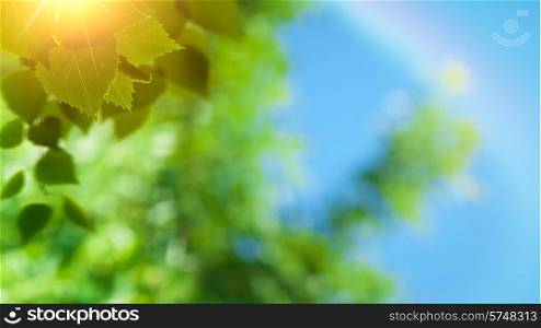 Abstract spring and summer natural backgrounds