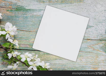 Abstract spring background of old painted blue board with branch of flowering apple covered with white flowers and white square blank paper sheet or canvas with place for text