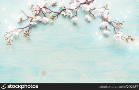 Abstract spring background of painted blue board with branch of flowering cherry branch covered with white flowers with glare