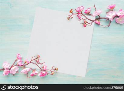 Abstract spring background of painted blue board with branch of flowering cherry branch covered with pink flowers and white square blank paper sheet or canvas with place for text