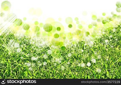 abstract spring backgrounds with defocused bokeh