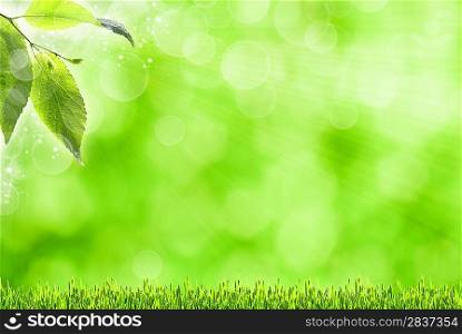 abstract spring backgrounds with defocused bokeh and sun beams