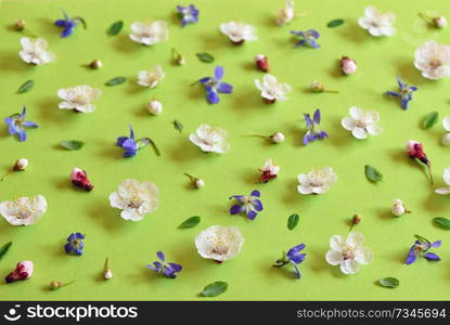 Abstract spring flowers blossoms on paper background