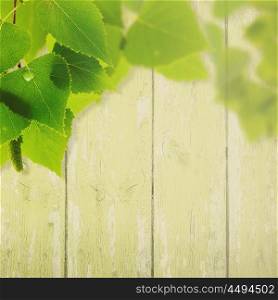 Abstract summer and spring backgrounds with foliage and wooden fence
