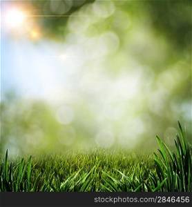Abstract summer backgrounds with green grass and sun beam