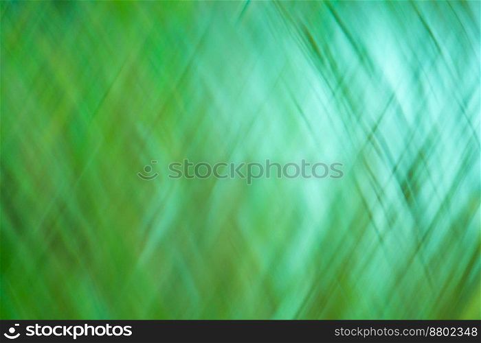 Abstract sunny spring defocused background. Green defocused bokeh abstract spring background.. Abstract spring nature defocused bokeh effect background