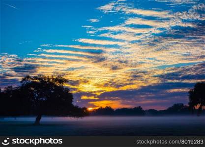 abstract sunrise landscape on the farm in florida