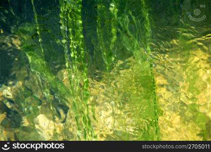 Abstract texture, algae seaweed on motion water, green and yellow