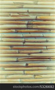 abstract texture background of a bamboo wall in the sky