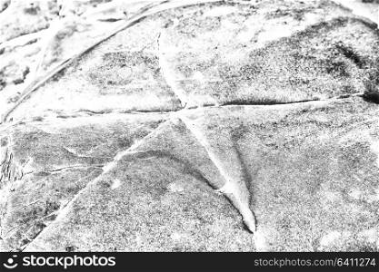 abstract texture background of a rock surface and shadow