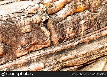 abstract texture background of a rock surface and shadow