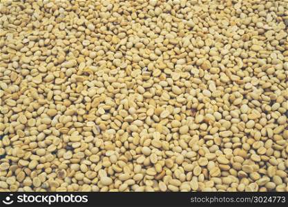 abstract texture background of coffee bean