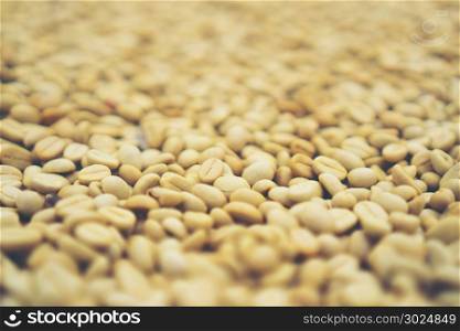 abstract texture background of coffee bean