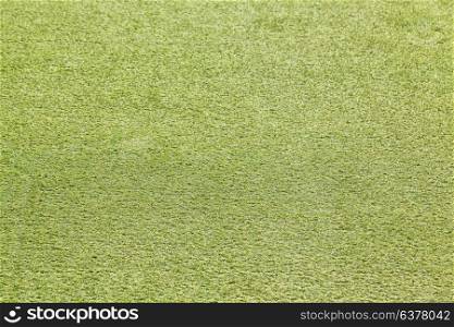 abstract texture background of the grass field in the park
