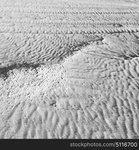 abstract texture line wave in oman the old desert and the empty quarter