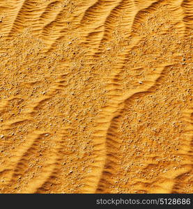 abstract texture line wave in oman the old desert and the empty quarter