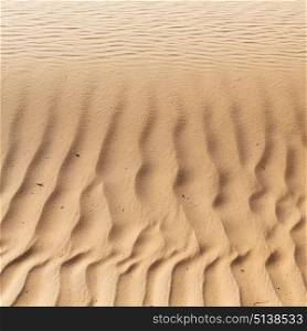 abstract texture line wave in oman the old desert and the empty quarter