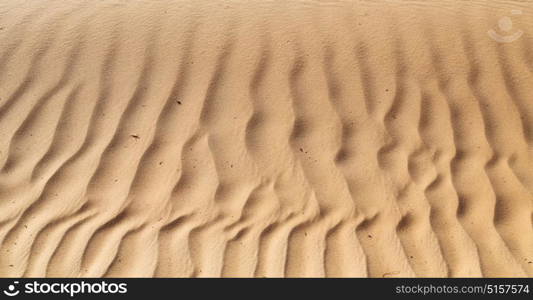 abstract texture line wave in oman the old desert and the empty quarter