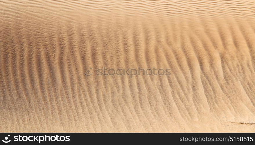 abstract texture line wave in oman the old desert and the empty quarter