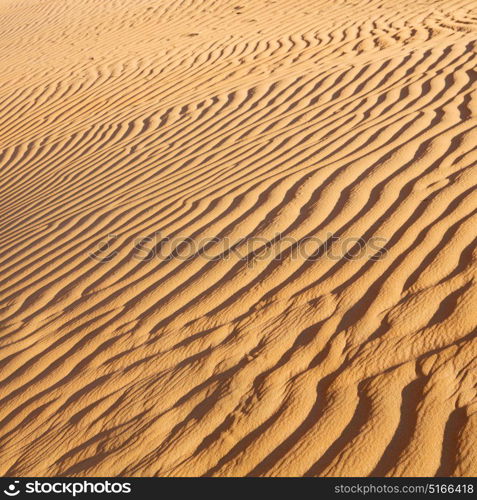 abstract texture line wave in oman the old desert and the empty quarter