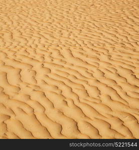 abstract texture line wave in oman the old desert and the empty quarter