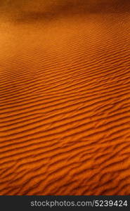 abstract texture line wave in oman the old desert and the empty quarter