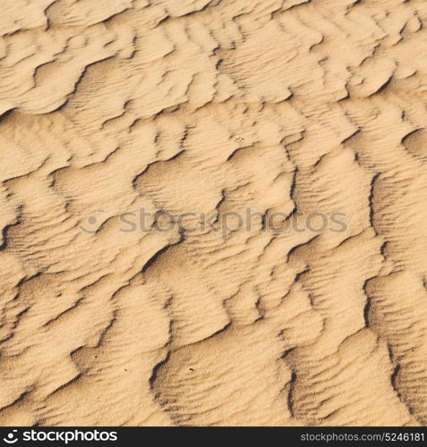 abstract texture line wave in oman the old desert and the empty quarter