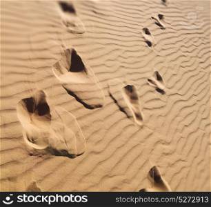 abstract texture line wave in oman the old desert and the empty quarter blurred