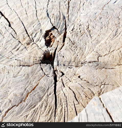 abstract texture of a aged cracked tree trunk and background