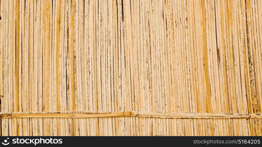 abstract texture of a bamboo wall background in oman