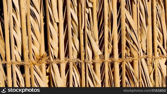 abstract texture of a bamboo wall background in oman