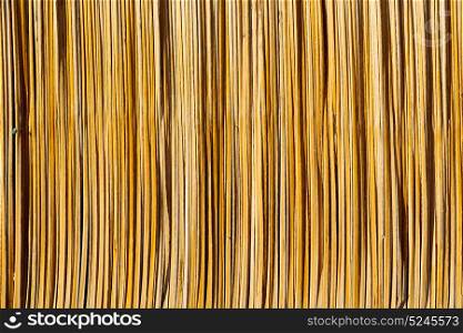 abstract texture of a bamboo wall background in oman