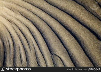 abstract texture of a dry sand and the beach lanzarote spain