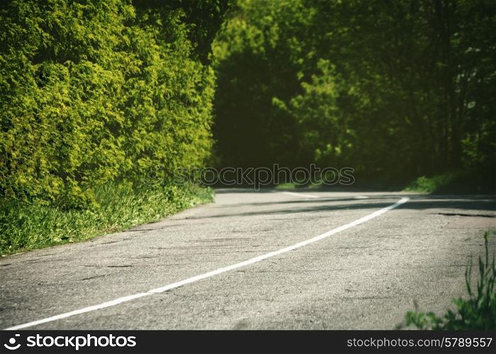 Abstract travel backgrounds with asphalt road and green tunnel