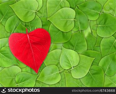 Abstract Valentine background with green leaf of lilac and red heart of leaf-form for your design. Close-up. Studio photography. Attention - it is not a seamless pattern.