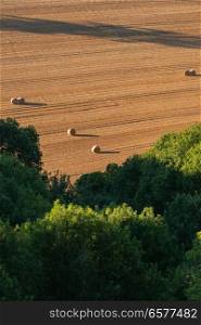 Abstract view of field of hay bales above tree line in landscape, viewed from top of hill